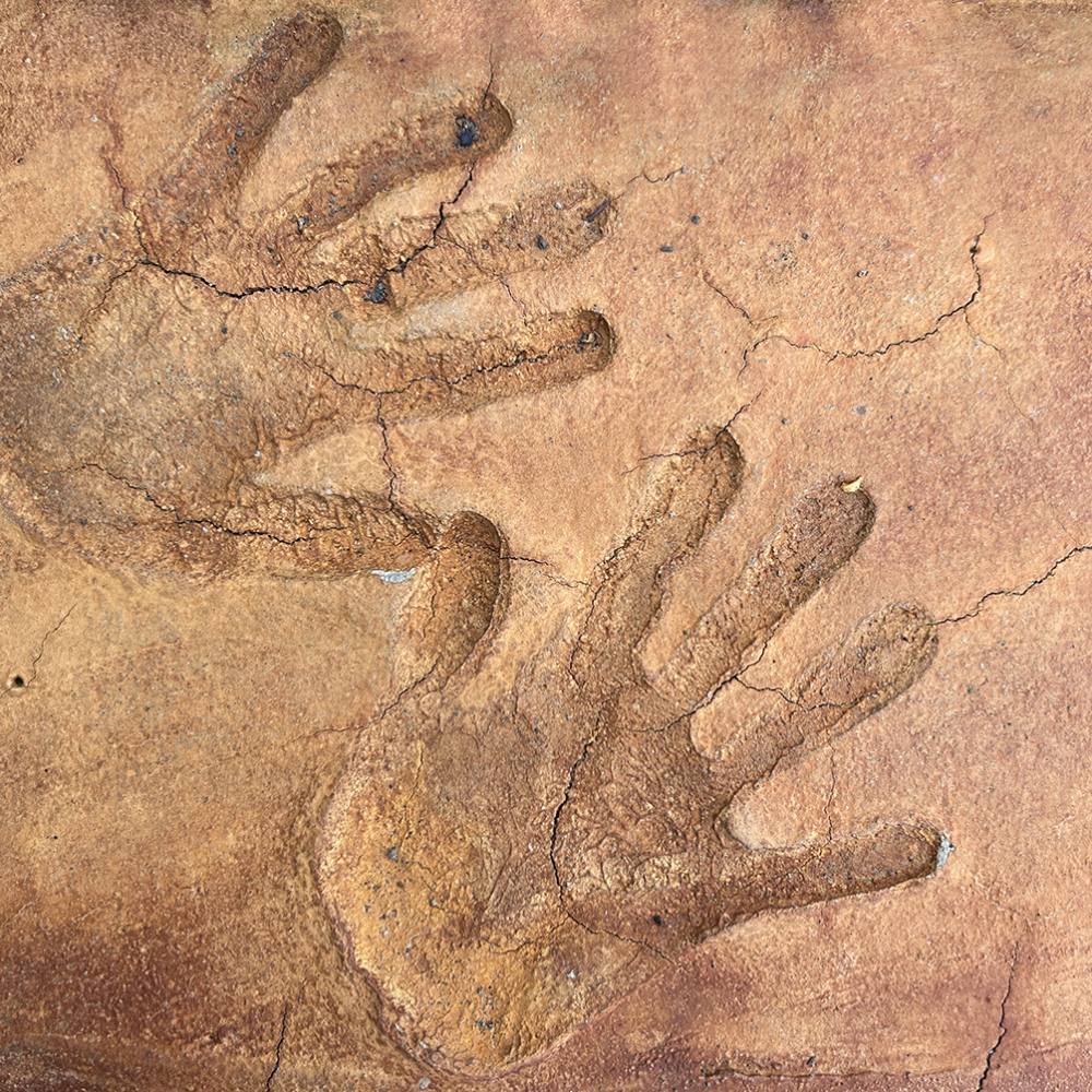 05 LITOTECA 05 LITOTECA