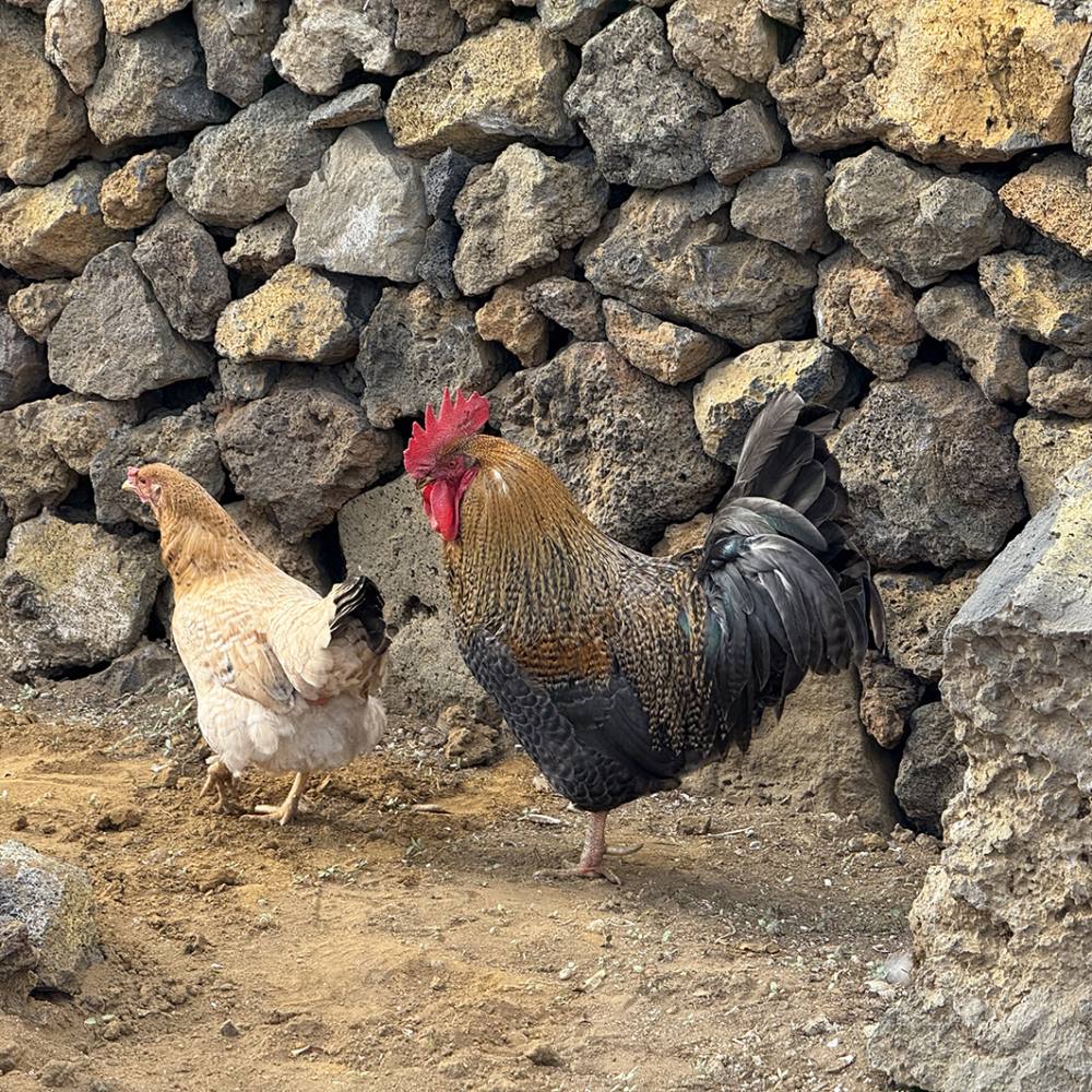 06 SOSTENIBILIDAD 06 SOSTENIBILIDAD